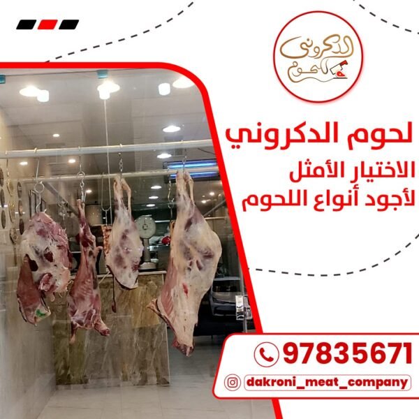 ريكفرى للحجامة
