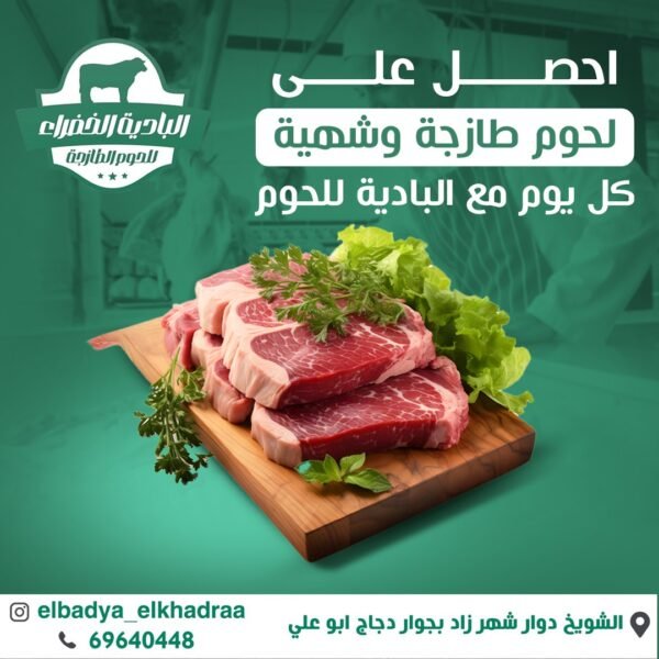 مقاولات عامة