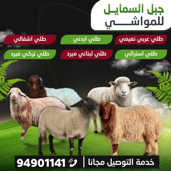 جبل السمايل للمواشي