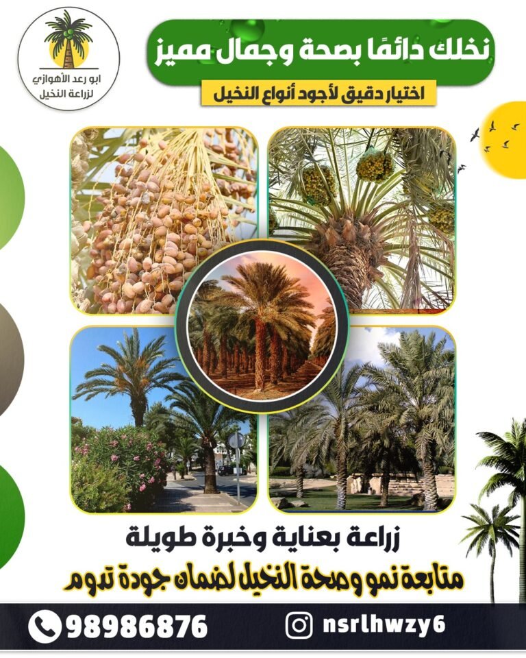 ابو رعد الأهوازي لزراعه النخيل